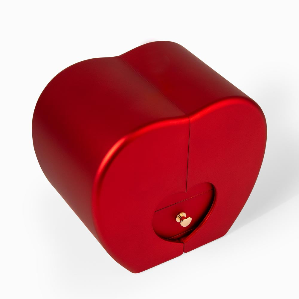 To My Daughter - Heart Rose Box - Lion's Guard